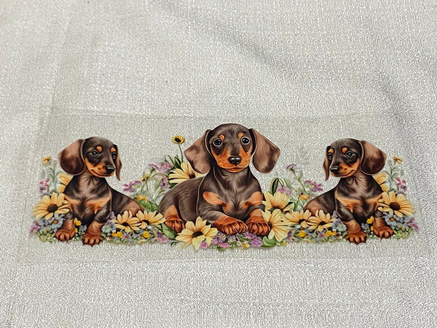 sausage dog