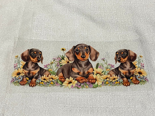 sausage dog