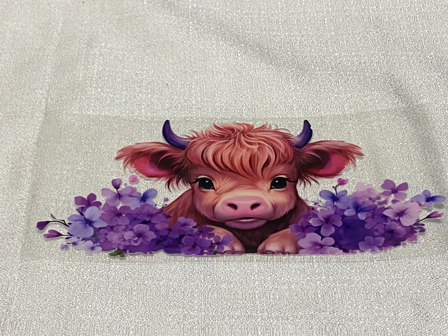 cute cow