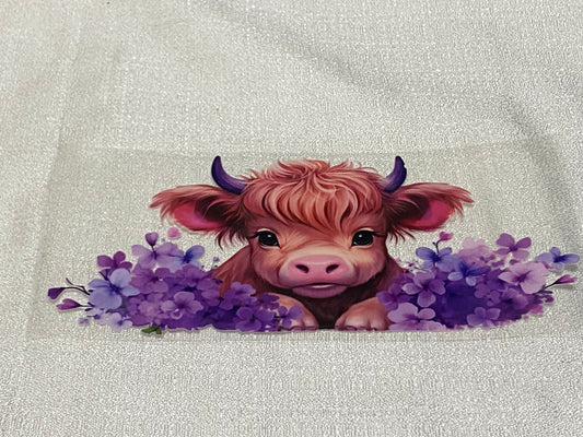 cute cow